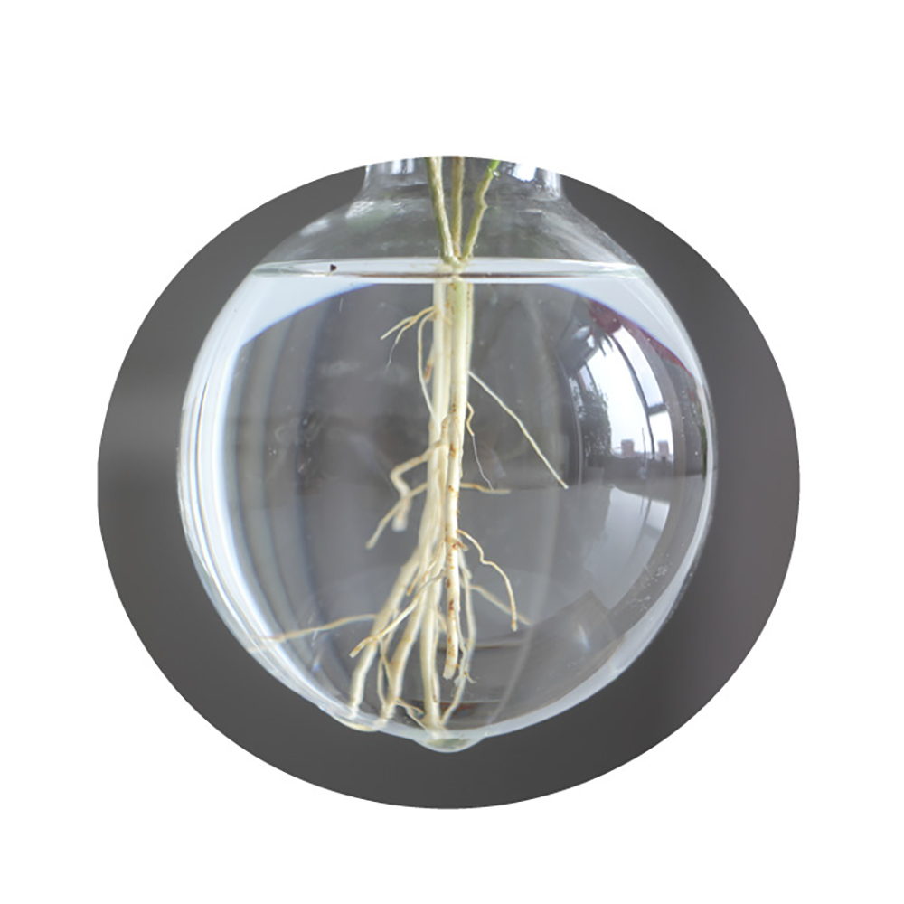 Terrarium Planter Bulb Glass Vase Water Planting Propagation Stations Hydroponics Plants With Wooden Stand Garden Wedding Decor