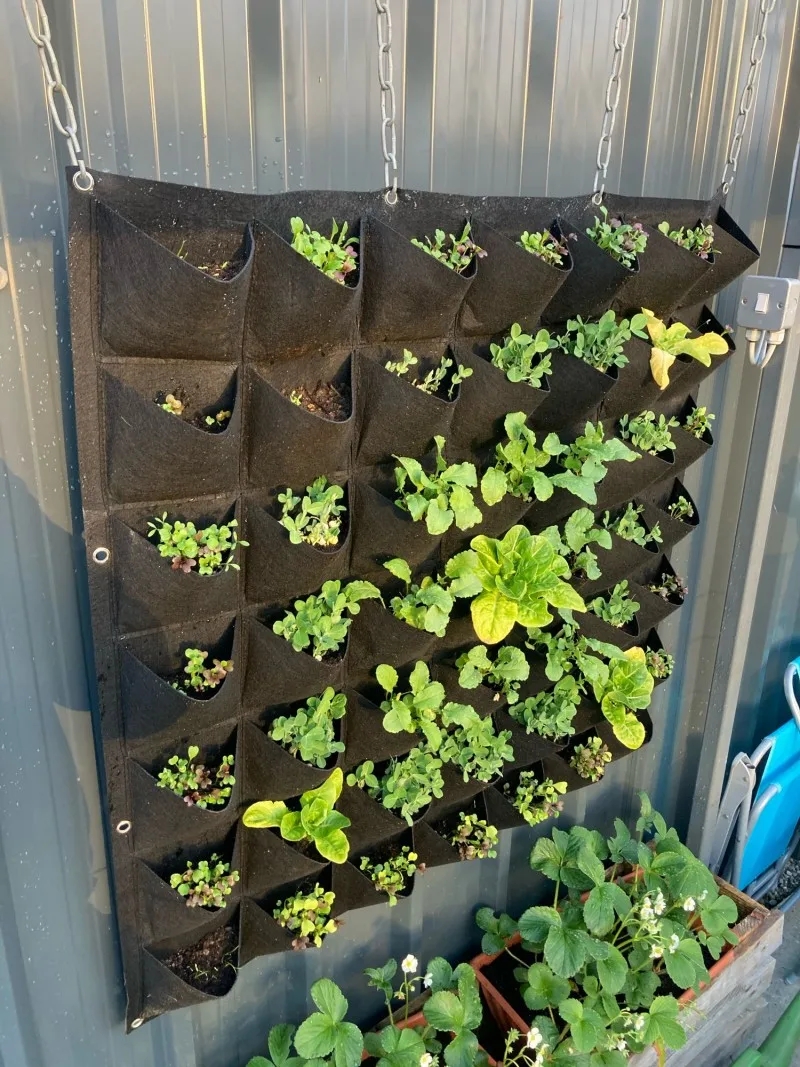 Flerlomme plantepose filt grønnsaker frukt blomster dyrkeposer for planter hengende vertikalt hjem hageverktøy plantesåpotte