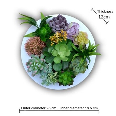 Nordisk simulation sukkulent grøn plante blomster dekoration vægophæng ramme butik ornamenter væg hjem dekorationer kunstige planter