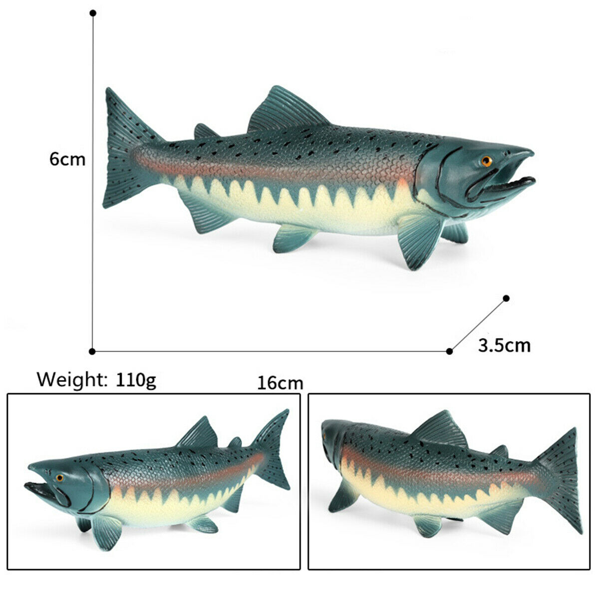 Grote Pacific Zalm Figuur Oceaan Dier Vis Model Collector Decor Kids Toy Simulatie Onderwijs Model Dier Decor