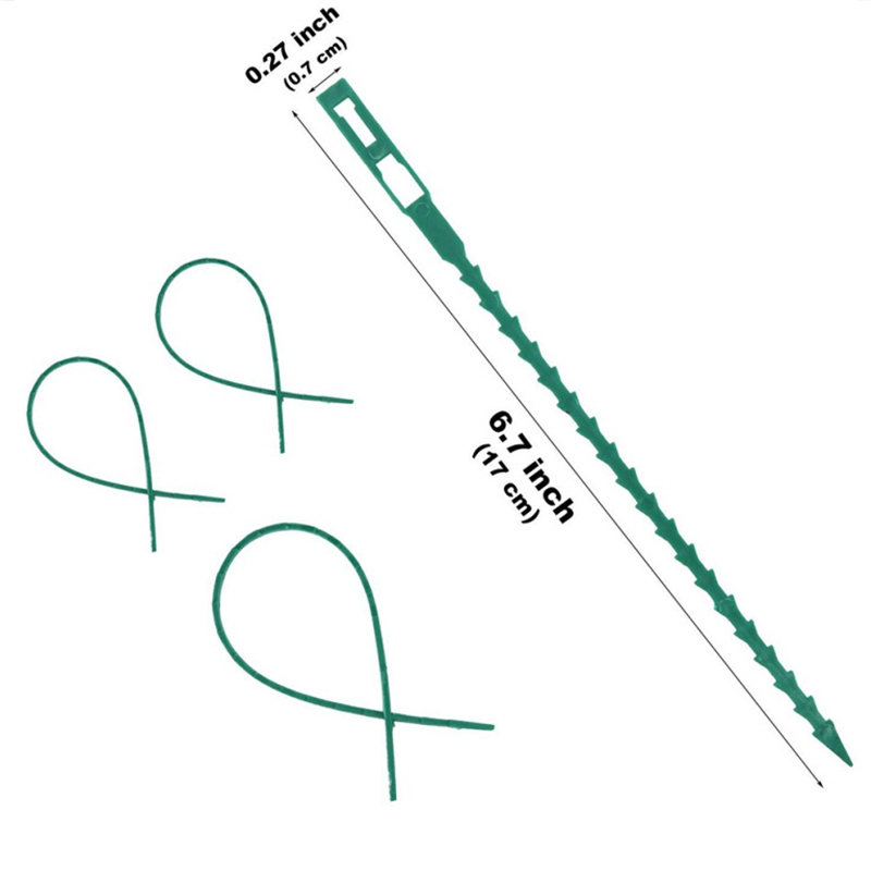 Have træ klatring støtte plast justerbar genanvendelig plante kabelbindere haveværktøj 17 x 0.7cm 50 stk selvlåsende