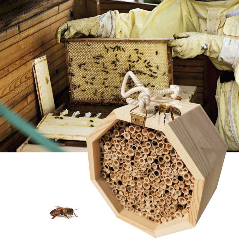 Casa de abejas e insectos de madera, casa de abejas, hábitat de colmena para mariquitas, lacewings