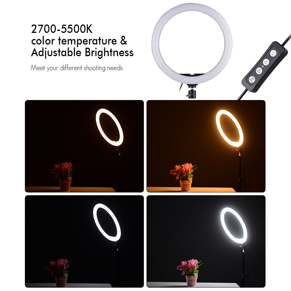 24W Dimmable 2700-5500K Photo Studio LED Video Ring Light Lamp w/ Light Stand 2pcs Ball Heads for iPhone Samsung Huawei Xiaomi
