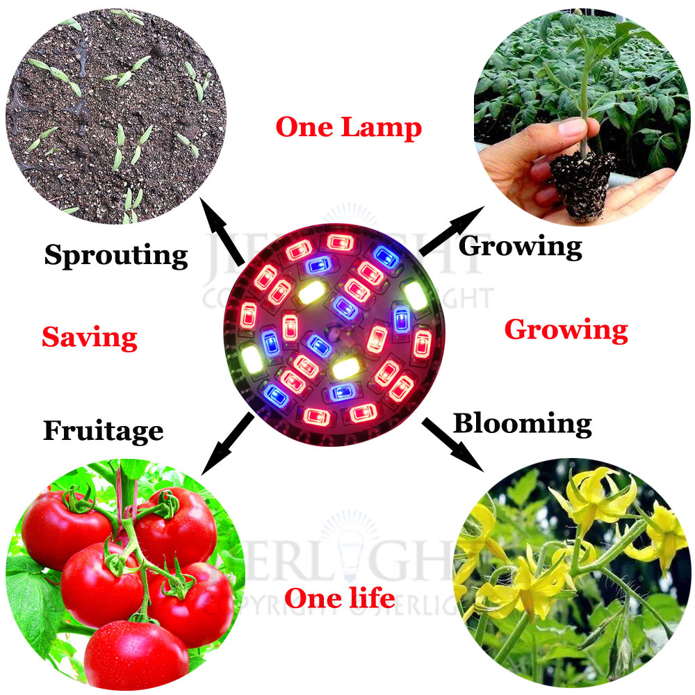 Volledig spectrum led kweeklamp led kweeklamp hydrocultuursystemen het beste voor de groei en bloei van medicinale planten