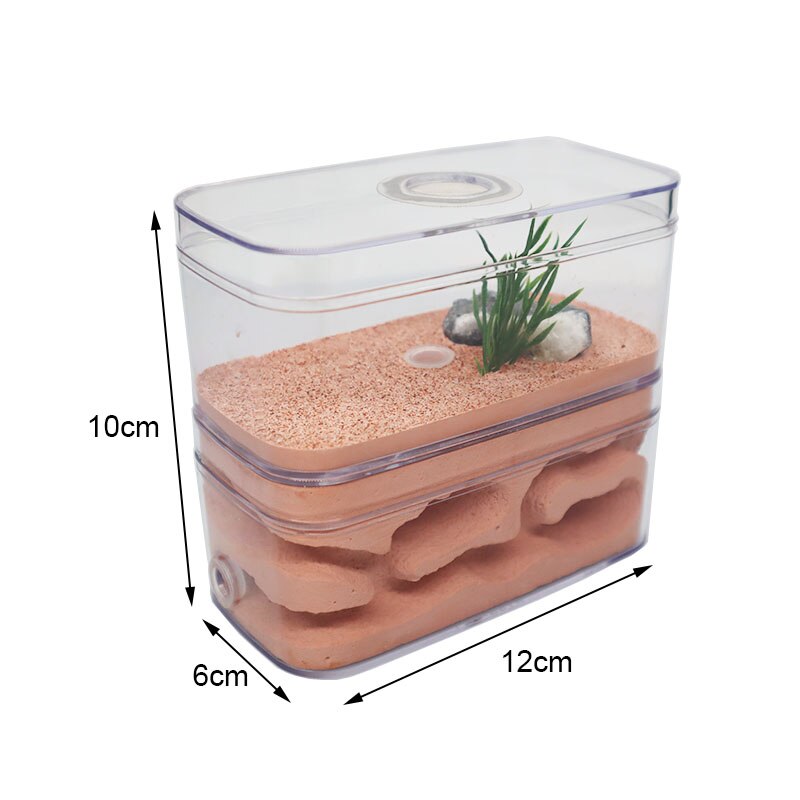 Plaster Ant Farm with Workshop Highly Moisturizing Ant Nest Pet Anthil Castle Ant House with Feeding Area Insect Box 12*6*10cm