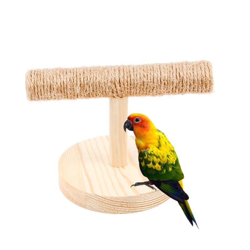 Papegøje træbordplade aborre fuglestativ træningsøvelse fødder kloslibning  b85c