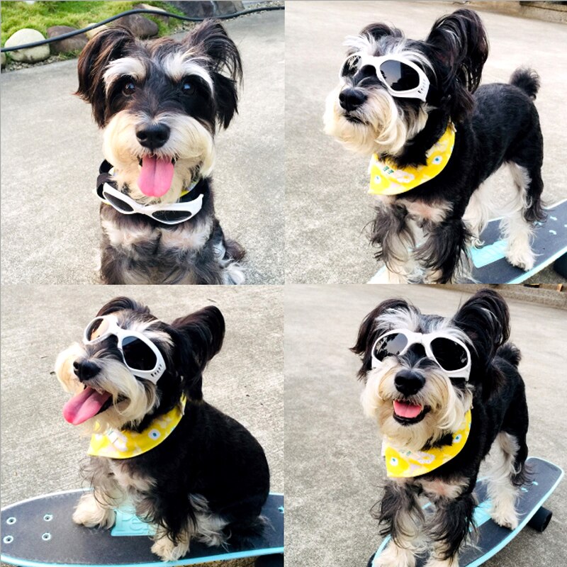 Huisdier Accessoires Kat Hond Glazen Goggles Opvouwbare Anti-Uv Zonnebril Waterdichte Huisdier Foto Props Voor Kleine Middelgrote Hond Product Pug