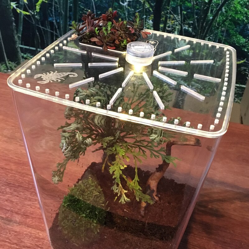 Krybdyr fodring boks pet terrarium fodring tank gennemsigtig akryl krybdyr avl cagebox edderkop scorpion lampe inkubation led