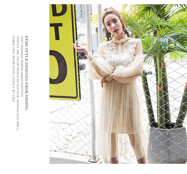 Women Dress Stand Collar Lantern Sleeve Mesh Dress See-through Lace Embroidery Fairy Dress Femme Vestidos Robe