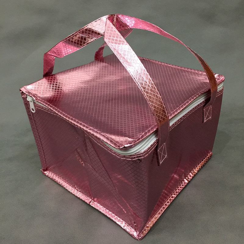 Insulated Picnic Cooler Bags Cake Pizza Lunch Picnic Box Insulated Cool Handbags Ice Pack Thermo Portable Insulation box DJFEN