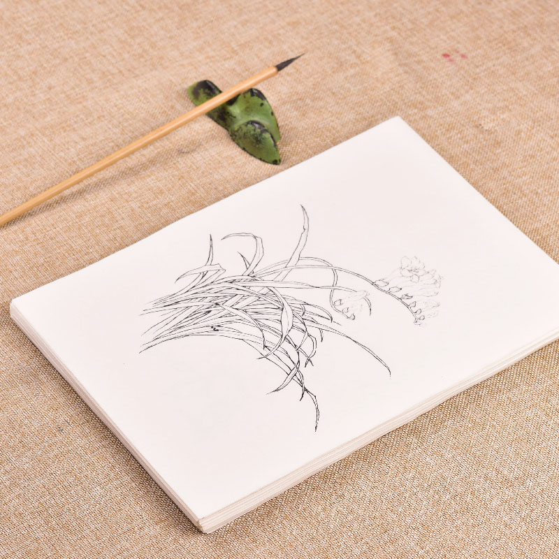 Papier de traçage de ligne de fleur, branche d&#39;arbre chinois, fleurs, peinture de manuscrit, cahier de dessin, peinture aquarelle chinoise