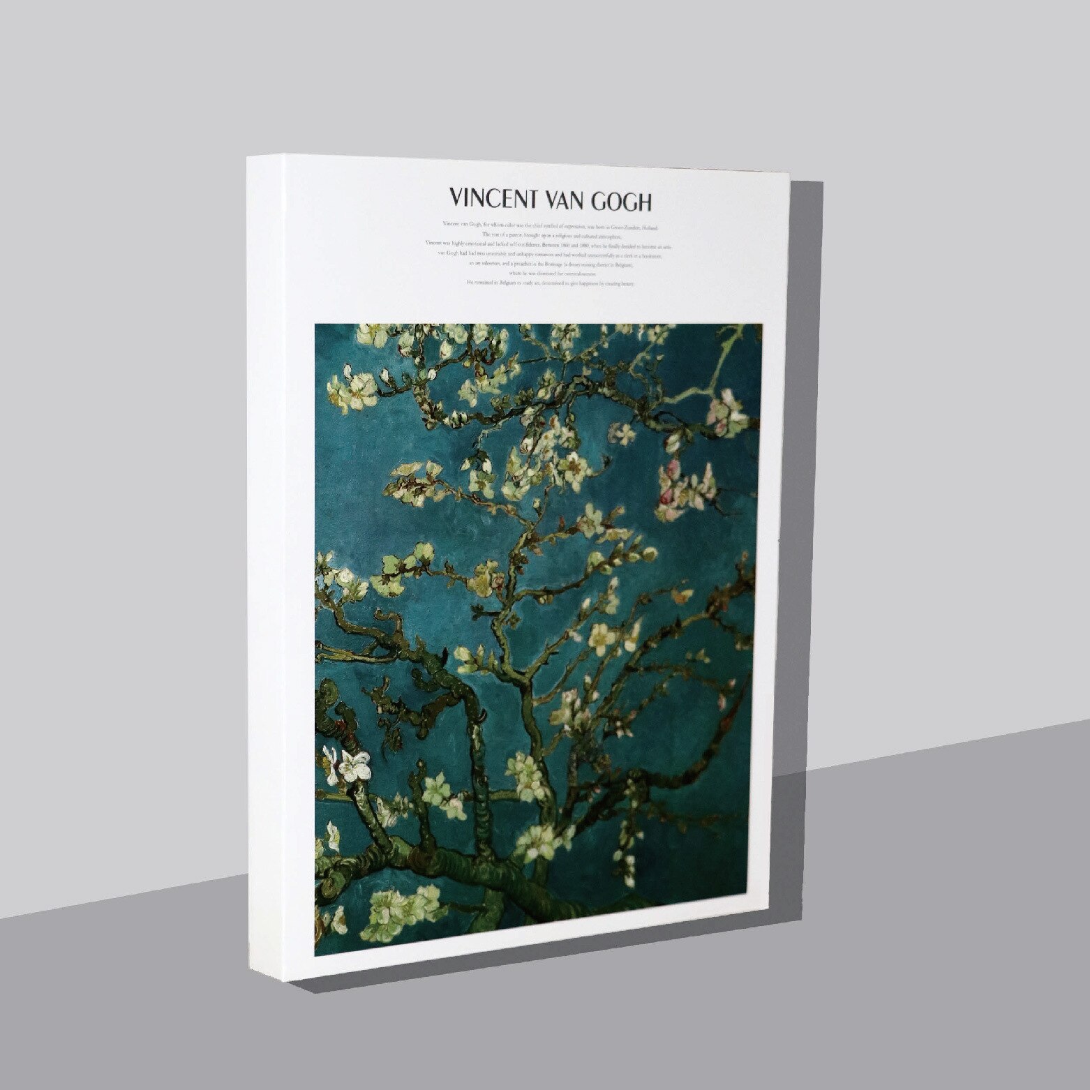 16K Sketchbook Thick Sketch Book Blank Paper Painting Hand-painted Sketch Book Art Supplies: Apricot blossom / 185x260mm