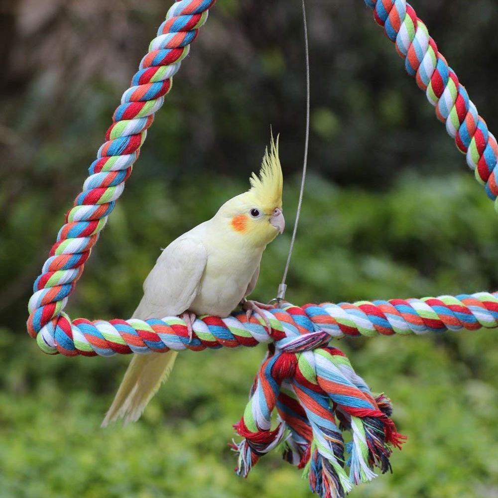 Rope Perches for Bird Cages | Cockatiel Swing Toy - Amazon