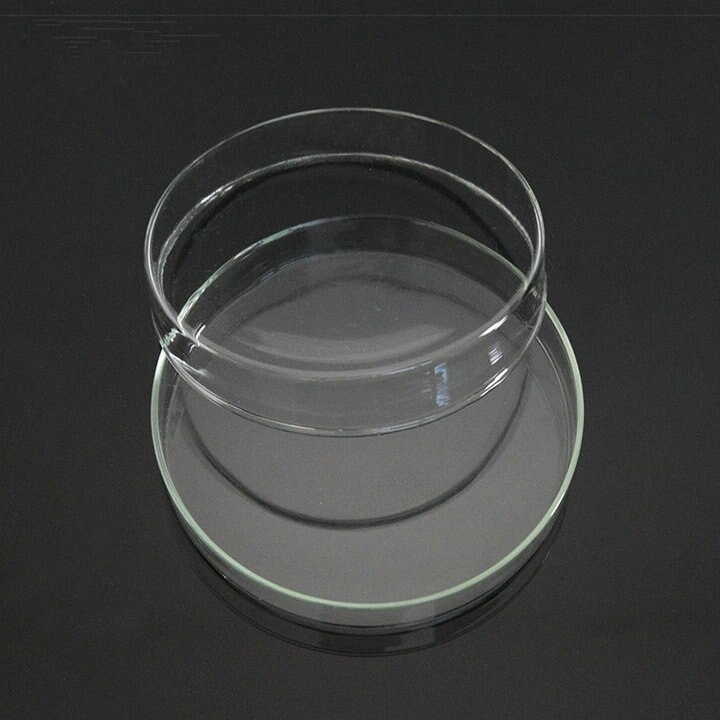 10 Stuks 60Mm Glazen Petrischaal Bacteriële Cultuu... – Grandado