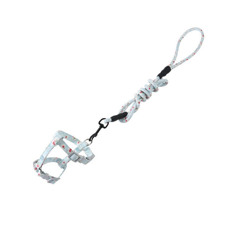 Hondenhalsband voor katten, verstelbaar harnas, riem, cartoon, huisdier, tractie, hond, kat, kitten, halster, kattenbenodigdheden voor katten, huisdierharnas, riem: Hemelsblauw / M