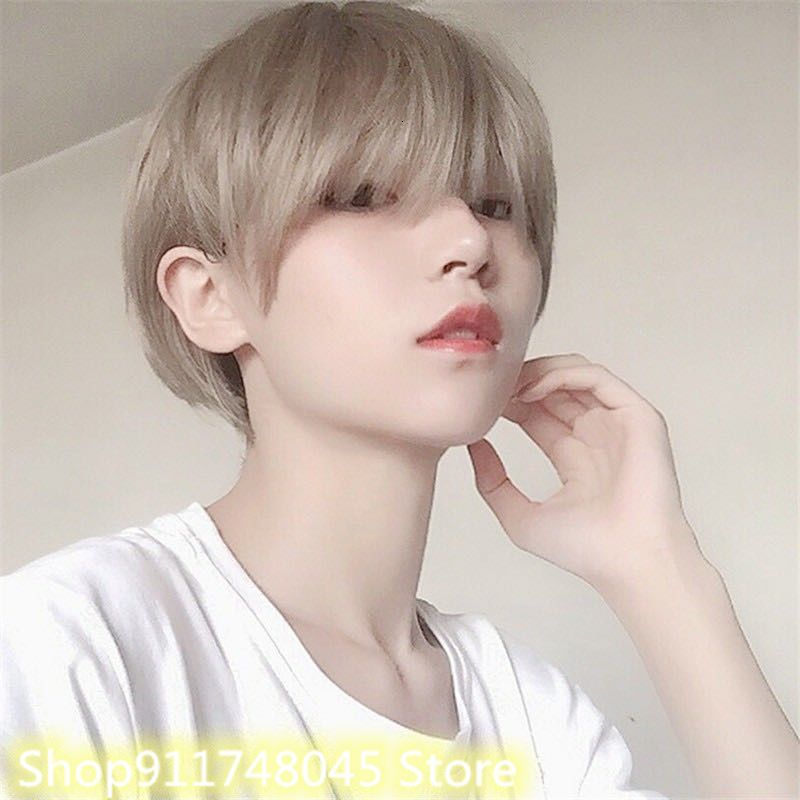 Korean Unisex Short Straight Hair Wig Full Head Wig Gray Black Cosplay