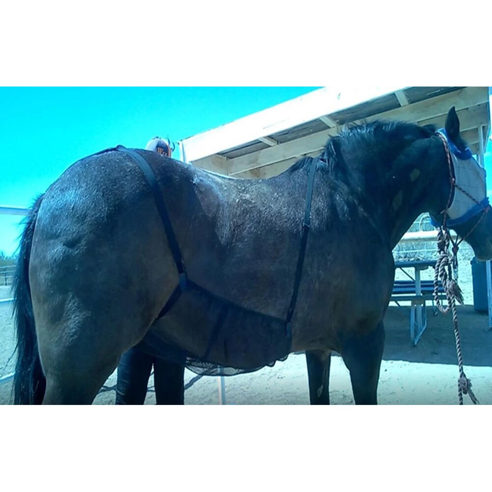 Paard Buik Comfortabele Netto Beschermhoes Fly Outdoor Mesh Anti-Muggen Anti-Kras Elasticiteit Bite Ademend Tapijt