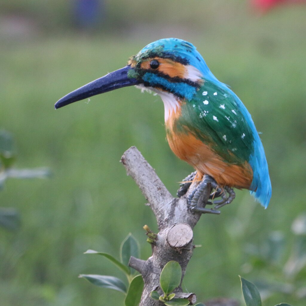 Naturtro håndværk kingfisher fugle ornament indendørs / udendørs landskabsindretning til bure, træ, bonsai, bord
