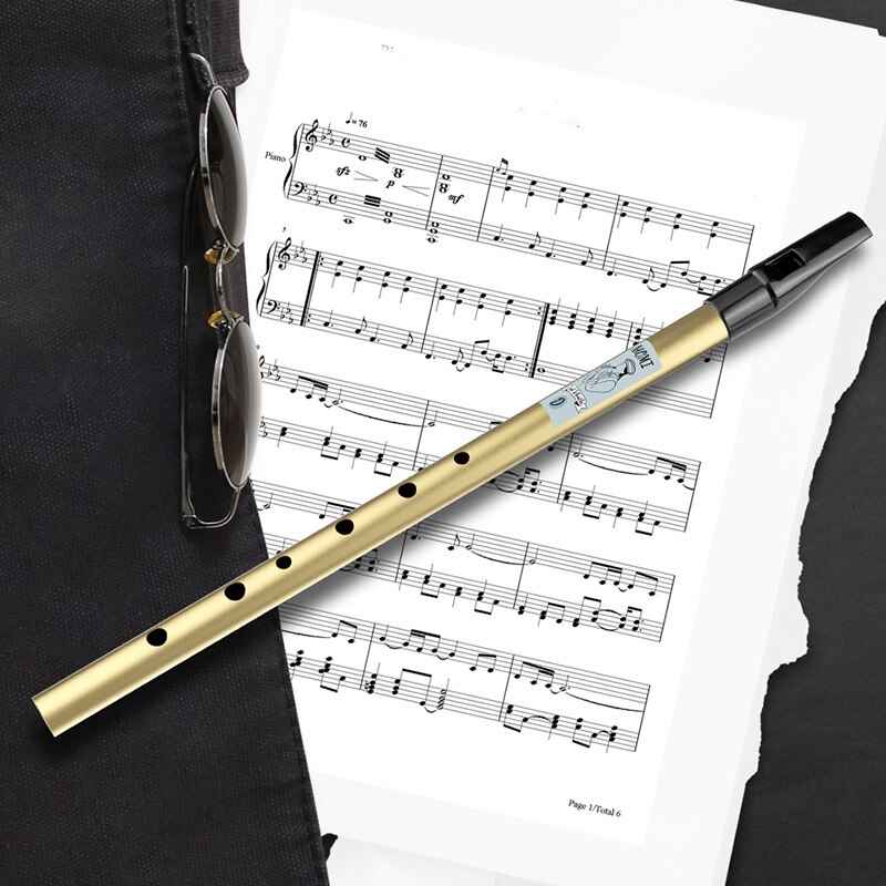 YN-NAOMI Traditional Irish Tin Whistle Penny Whistle Key of D Irish Whistle Six-Holed Woodwind Instrument