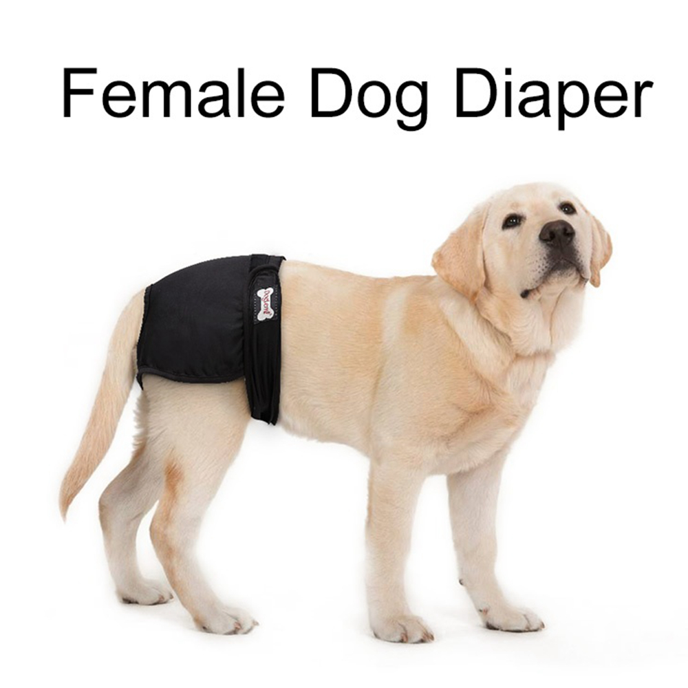 Couche-culotte lavable pour chien, XS-XL animaux domestiques, pantalon physiologique, culotte, Menstruation