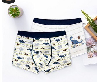 Goocheer 2Pcs/Set Kids Boys Underwear Dinosaur Printing Boxer Cotton Children's Underwear Boys Boxer Briefs: 1 / 8