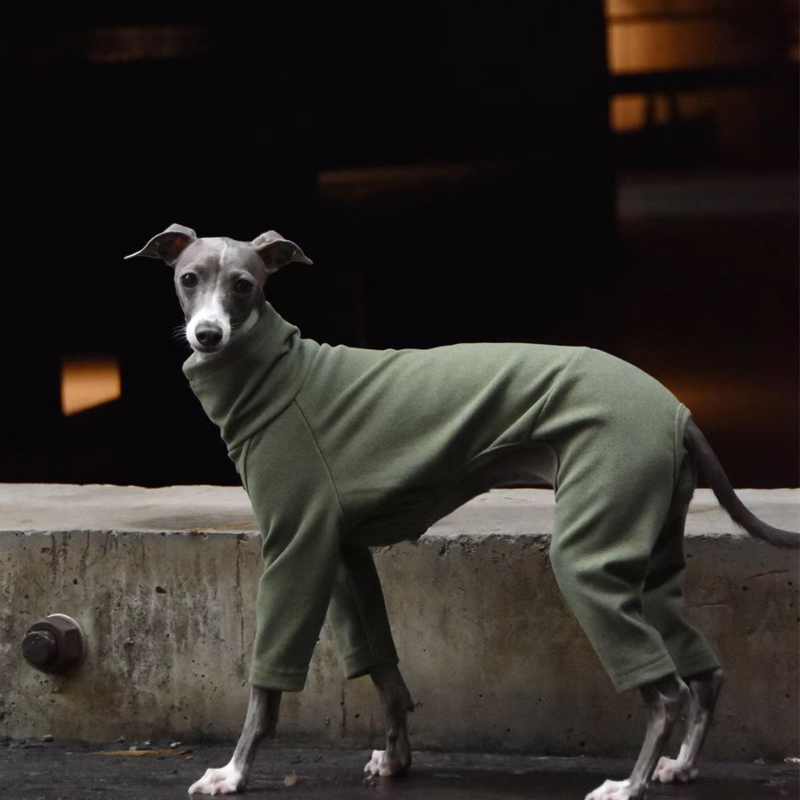 Ropa suave de cuello alto Whippet de 4 patas, suéter elástico de algodón para perros galgo italiano cálido en Otoño Invierno: XXS / Plata