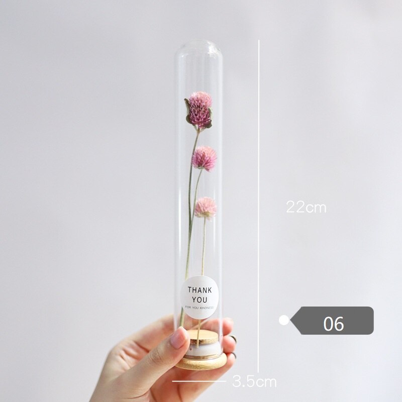 Dried Flower Glass Test Tube Decorations Family Living Room Study Specimens Ornaments: 06