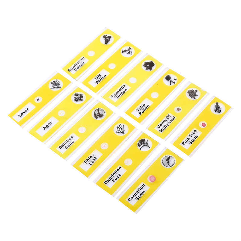 12pcs Plastic Prepared Microscope Slides Animals Insects Flowers Plants: black