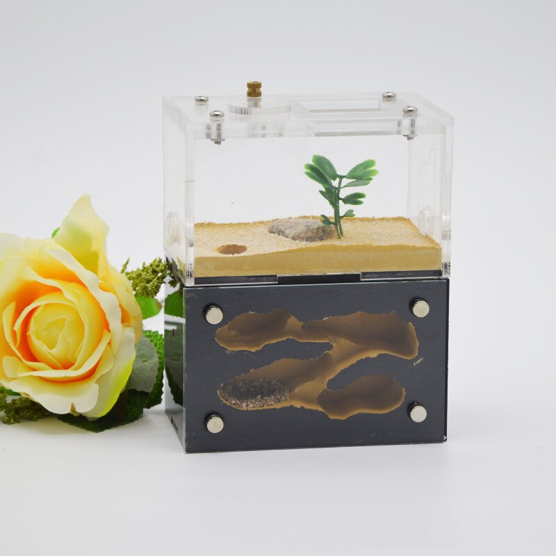 Big space Ant Nest ,Ant Farm Acrylic, Insect ants Villa House Ants Ecological Workshop: Light yellow