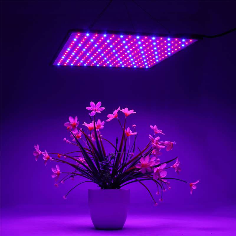 LED Grow Tent Lamp 1000W LED Grow Light Panel Phyto Lamp For Plant Full Spectrum Led Lights For Indoor Growing Flowers Herbs