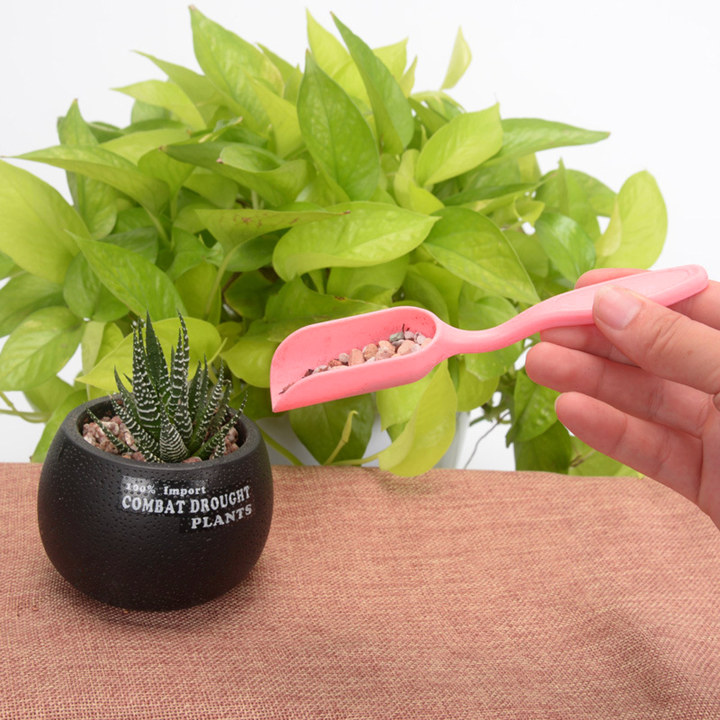 5pcs/set Mini Gardening Hand Tools Set Succulent Plants Transplant Miniature Seeder Garden Nursery Hand Cultivate Tools Set