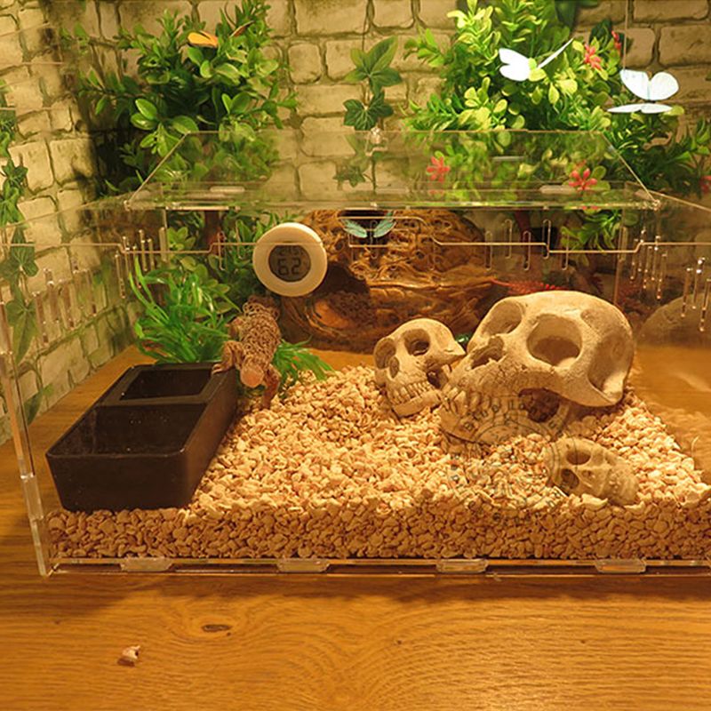 Terrario de caja de comida de agua de plástico negro para alimentar a las tortugas de insectos