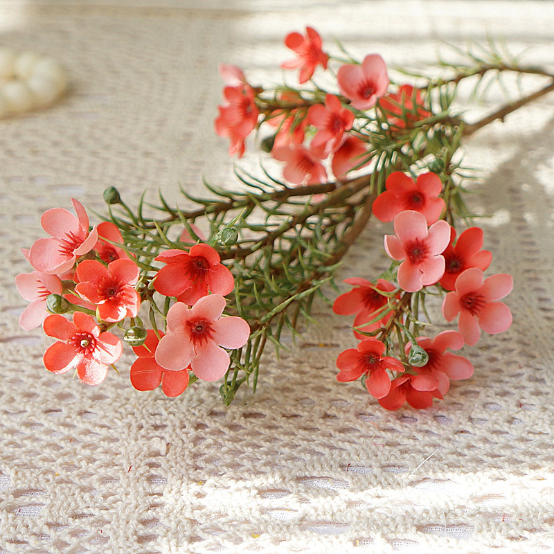 Fall Decoraties Australische Gekleurde Plum Bloem Zijde Voor Thuis Esthetische Inrichting Slaapkamer Decoratie Flores: pink orange