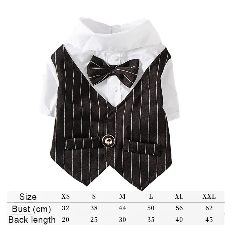 Gentleman chien vêtements rayure chien Costume formel chien chemise avec noeud mariage Costume chiot vêtements animal de compagnie petit chien Costume: Black / S