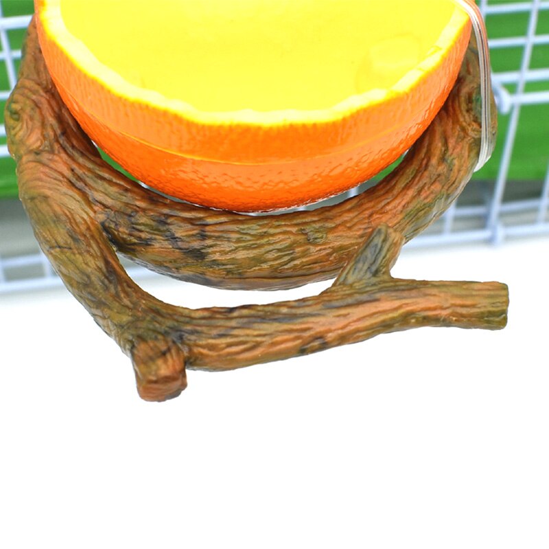 Fruit Vegetable Shape Birds Feeder Bowl Parrot Water Food Feeding Bowl Container Animal Drinking Feed Cup for Birds Cage Accesso