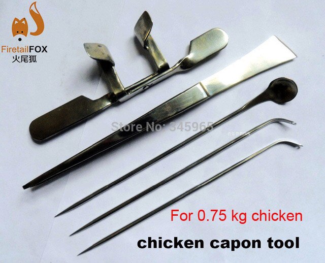 Stainless steel knife chicken capon capon tool for 0.75kg chicken