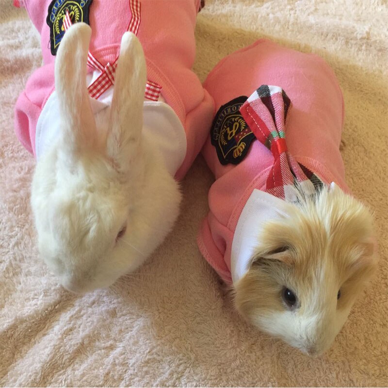 School Style Pet Dog Clothes Cat Chihuahua Clothing Dress Pugs Puppy Coat Outfit For Small Dog Clothes Roupa Para Cachorro 4S1