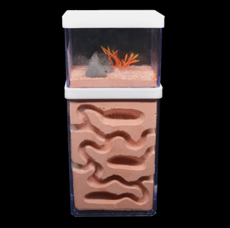 Fourmilière en plâtre avec zone d&#39;alimentation WY707, ferme à fourmis naturelle, grand nid , château d&#39;insectes, atelier pour animaux de compagnie, fourmilière