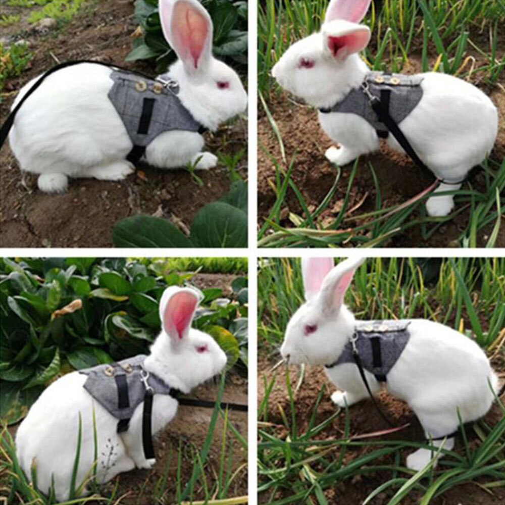 Huisdier multifunctioneel vest harnas tractie touw kit verstelbaar zacht harnas met knoop ornament voor konijn kitten kleine hond