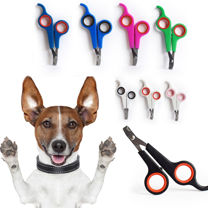 Coupe-ongles en acier inoxydable pour chien et chat, ciseaux de toilettage, fournitures pour animaux de compagnie