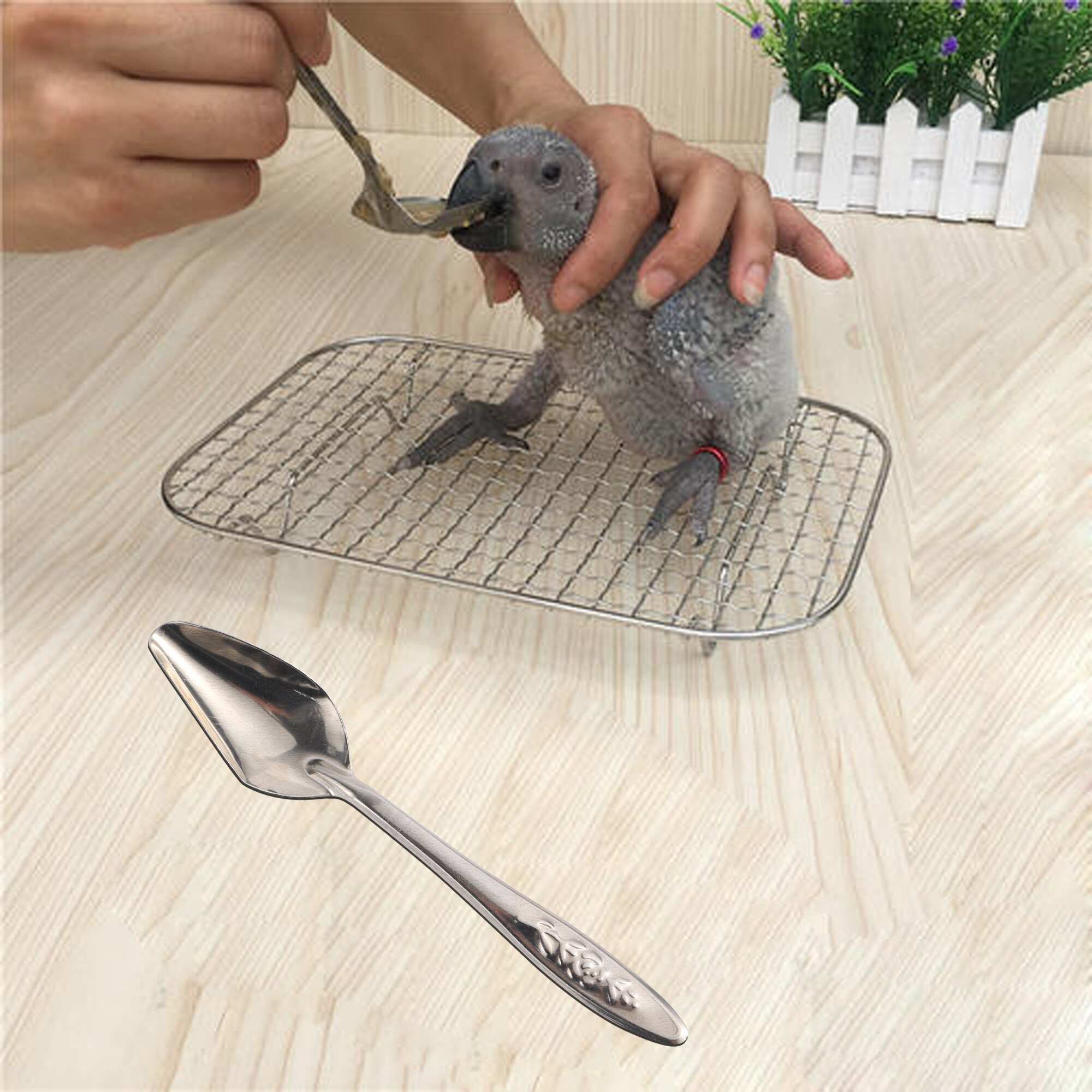 Bird Parrot Feeding Spoon Stainless Steel Water Milk Powder Feeder Spoons Bird Supplies Baby Bird Feeding Spoon 4 Pcs