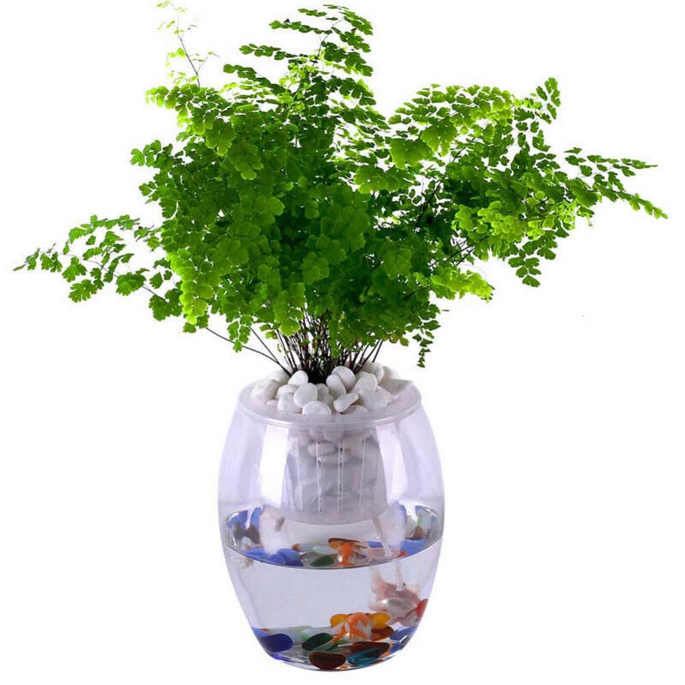Corda per irrigazione automatica idroponica Bonsai per piante da 50cm