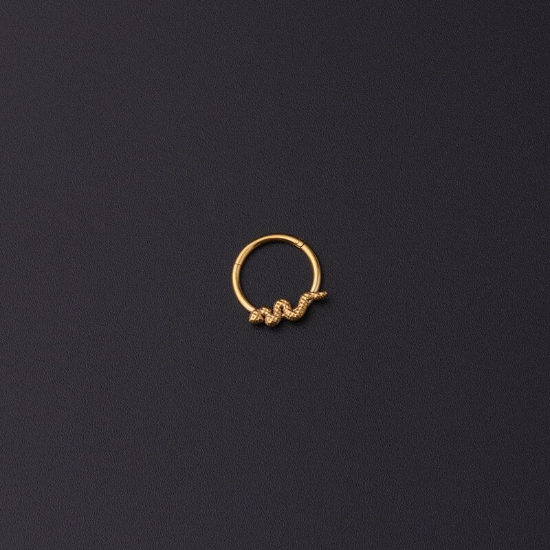 1Pc 16G Rvs Snake Hoop Earring Scharnierende Segment Clicker Ring Neus Septum Piercing Helix Kraakbeen Earring Boby sieraden