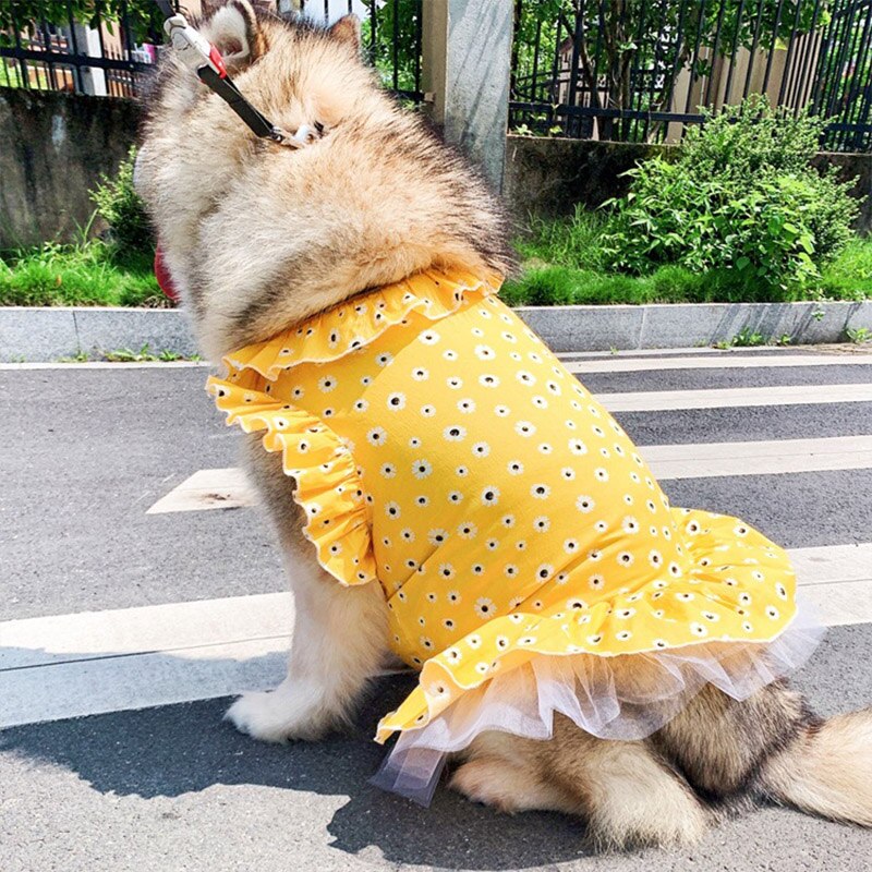 Vestido con estampado de margaritas para Perro, ropa para mascotas, Disfraz para perros medianos y grandes, Labrador Golden Retriver, Disfraz para perros grandes