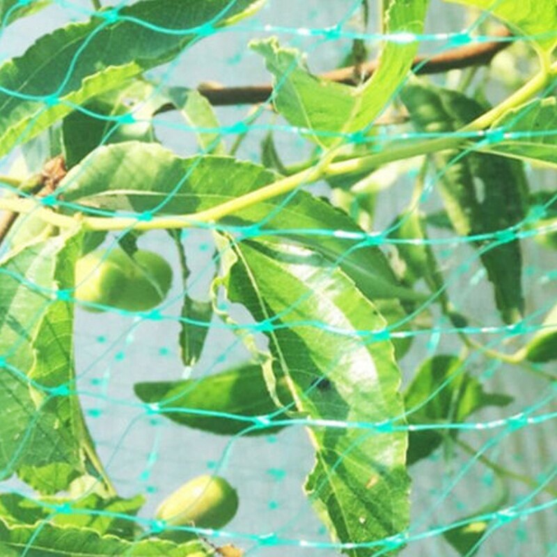 Sappe Netten 4X10M Anti-Vogel Netten Tuin Netten Boomgaard Anti... – Grandado