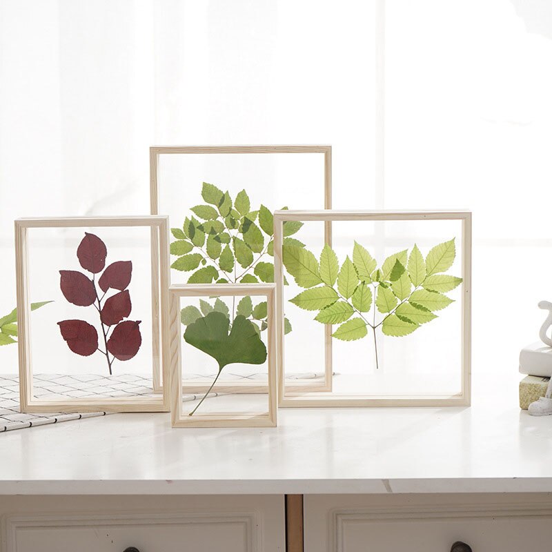 Wooden Double-sided Glass Plant Specimen Photo Frame Log Color Photo Frame Transparent Wooden Photo Frame