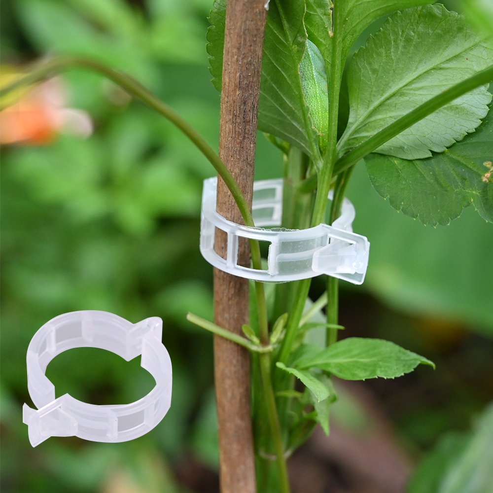 50/100pcs Reusable Plastic Plant Support Clips Plants Hanging Vine Clip Garden Greenhouse Fork Vegetable Tomatoes Clips Supplies