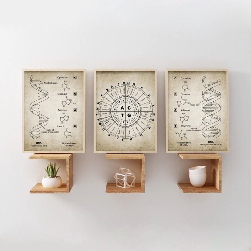 Dna En Rna Genetische Code Muur Art Prints Genetica Biochemie Student Vintage Wetenschap Retro Poster Kraftpapier
