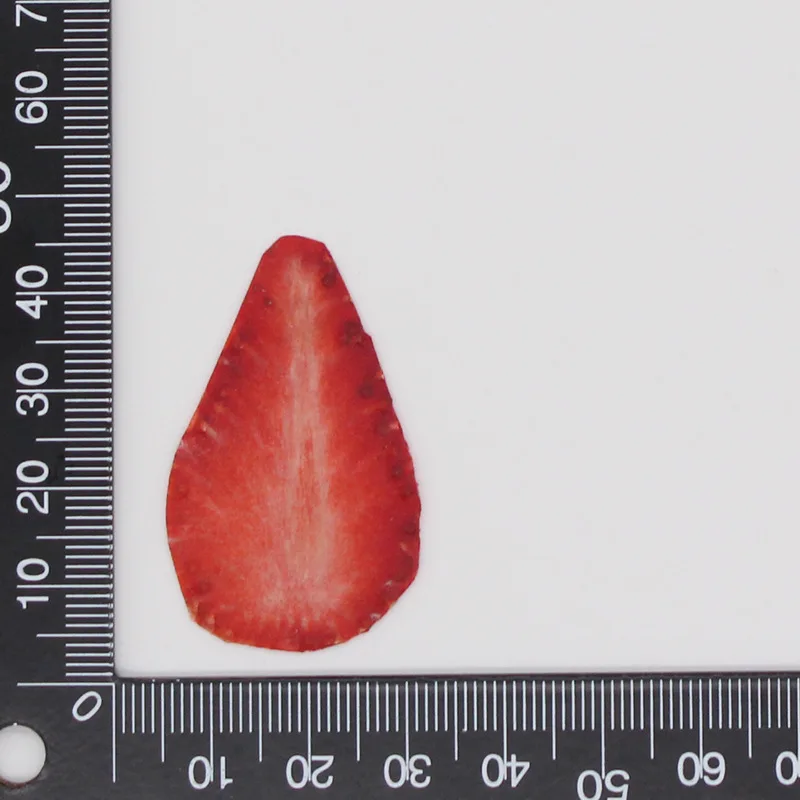Getrocknete Gedrückt Obst Gemüse Scheibe Anlage Herbarbelege Für Schmuck Postkarte Einladung Karte Telefon fallen Lesezeichen Kerze Lesezeichen DIY: Weiß