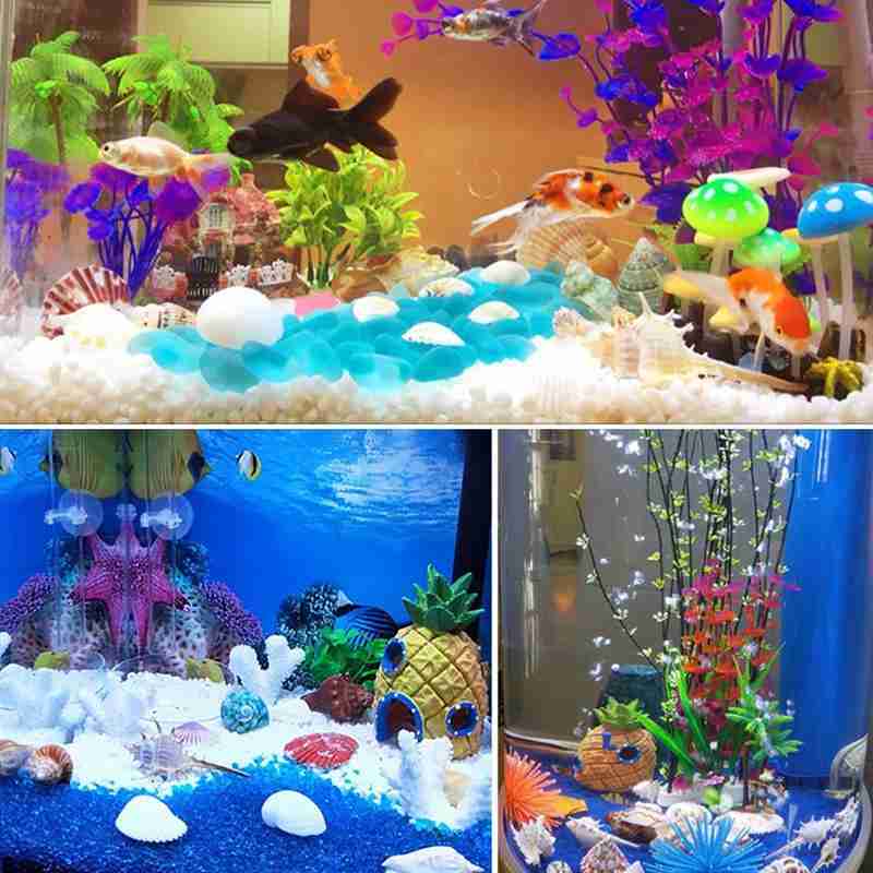 13-15cm venus murex schelpen voor aquarium landschapsarchitectuur schelp ornamenten rots schelp specimen huishoudelijke decoratie